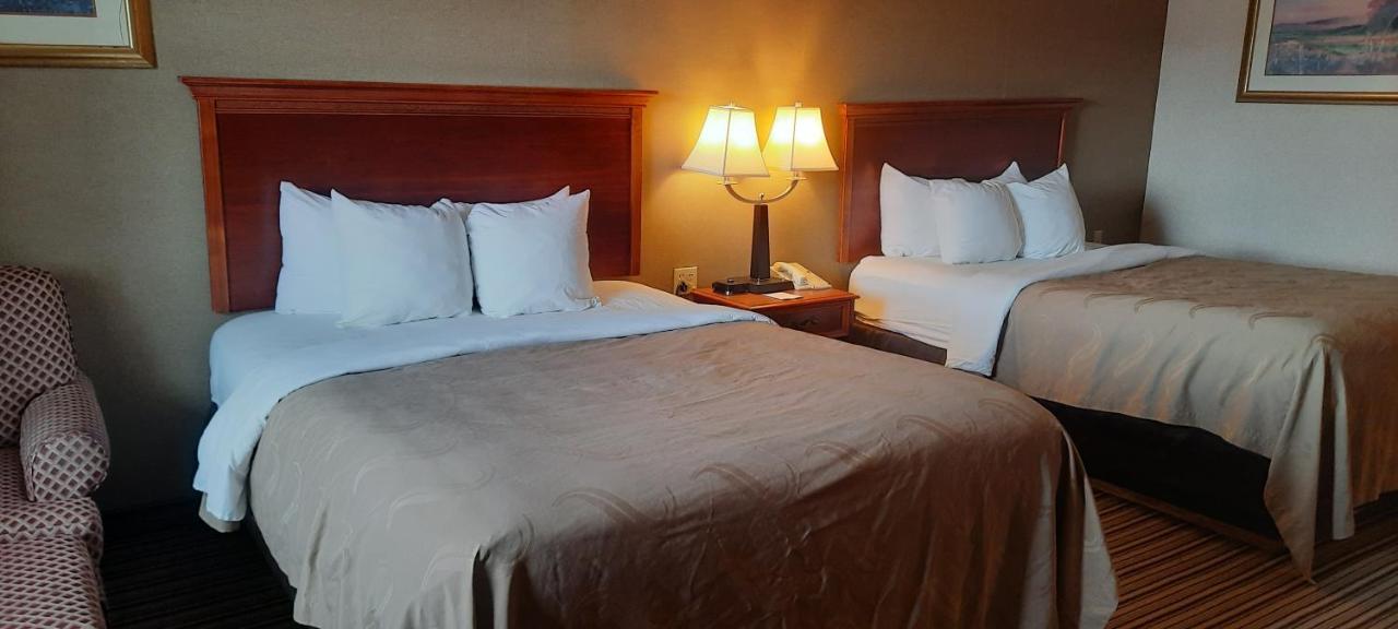 Quality Inn & Suites Grants - I-40 Room photo